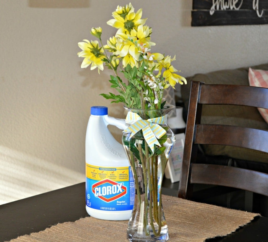 6 Cleaning Hacks with Clorox - My Latina Table
