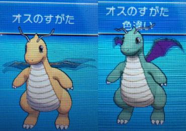 カイリュー Xy 色違いに釘付け