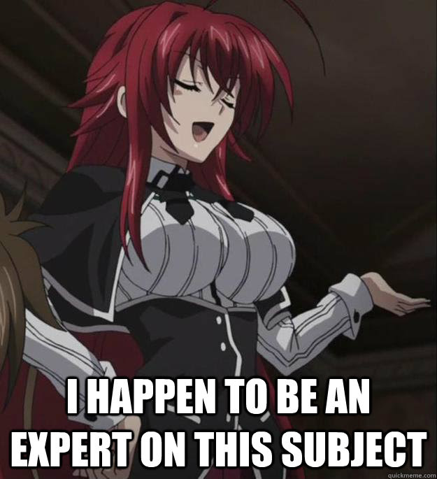 I Happen To Be An Expert On This Subject Rias Gremory Expert Quickmeme