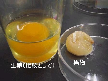異常卵の例 その３