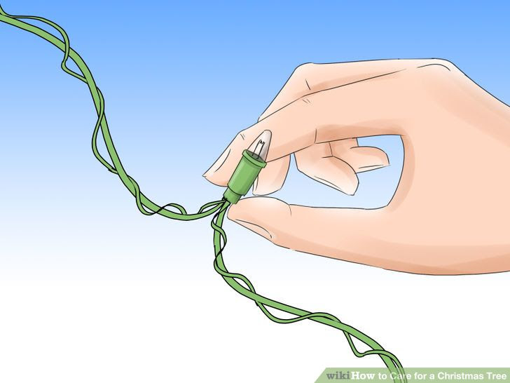 Care for a Christmas Tree Step 8Bullet1.jpg