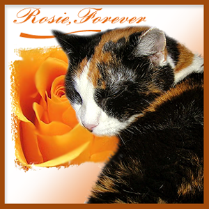rosie