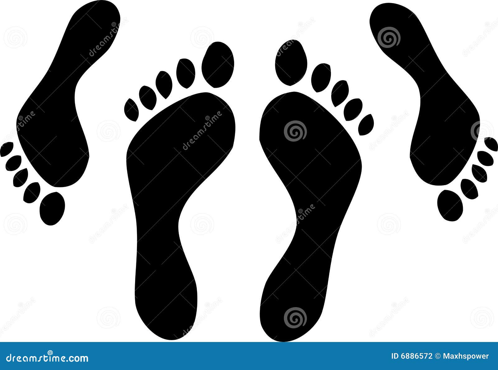 Animal Footprints Animal Footprints