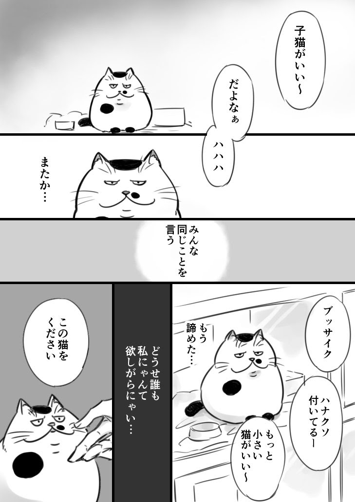 Twitterで話題 猫漫画 短編漫画に込められた感動ストーリー おじさまと猫 に共感と感動の声が相次ぐ 猫の総合情報サイト ペットスマイルニュースforネコちゃん