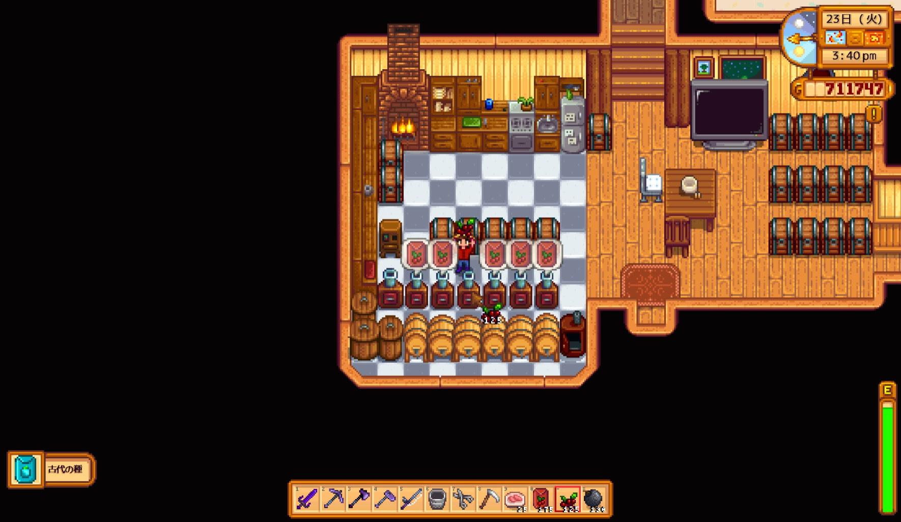 ただのゲーム日記 今日のstardew Valley日記