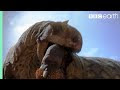 10 Terrifying Facts About the Dinosaurs
