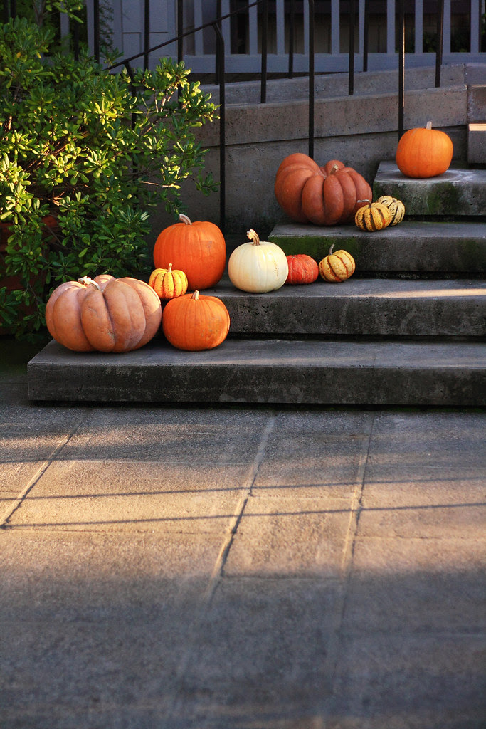 More Pumpkins