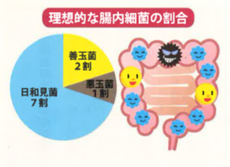 胃腸の調子の整え方 富士森内科クリニック 八王子の内科 消化器科 内視鏡内科 循環器科 リウマチ科 小児科 人間ドック 八王子市の内科 消化器科 内視鏡内科 循環器科 リウマチ科 小児科 人間ドックなら 富士森内科クリニック