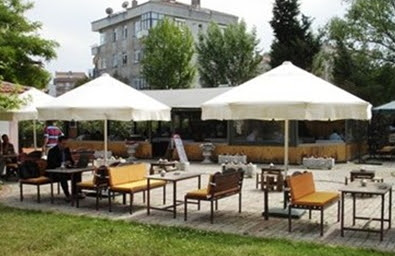 Kamelya fiyatları kayseri