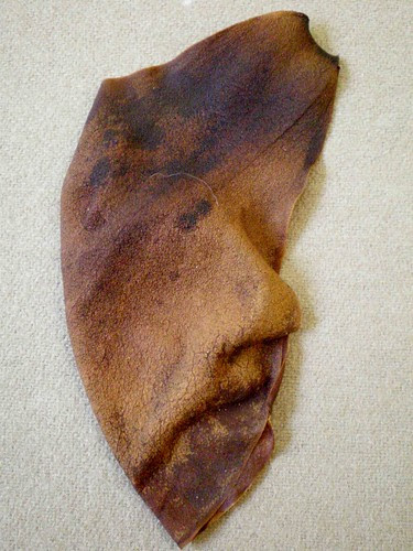 It's a leaf, and it's a face
