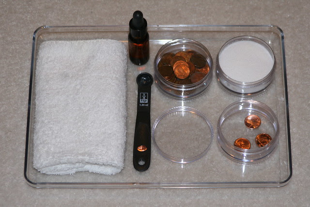Montessori-Inspired Penny Polishing Science Tray