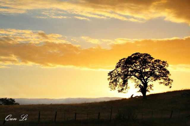 秋影秋望by 轻羽飞飞 全哥诗群倾情出品 Quanhe