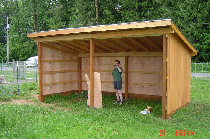 Guide to Get 3-sided run in shed plans | wood shed