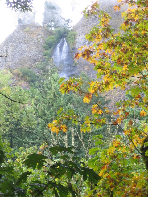 Mist Falls