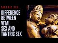 VITAL SEX - DIFFERENCE BETWEEN VITAL SEX AND TANTRIC SEX - VIDEO