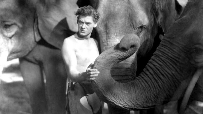 Streaming-VF Tarzan, l'homme singe 1932 Film Complet et VOSTFR FULL HD