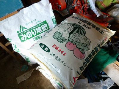 赤紫蘇の種まきと育て方は ジュースの作り方も 知っているとちょっと得する情報ブログ
