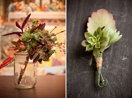 succulents5