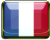 Google-Translate-Portuguese to French