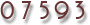 Web Site Visitor Counters