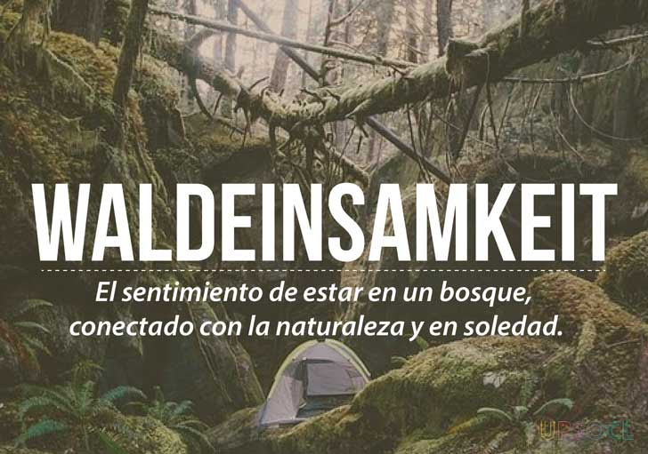 Frases-Upsocl--5