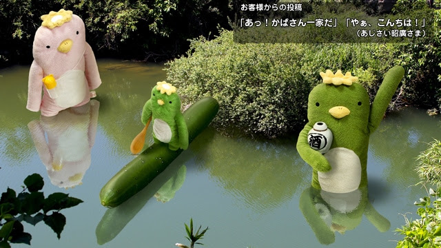 再登場予定なし フモフモさん かぱ 河童 カッパ 薄緑 Ll ぬいぐるみ 抱き枕や雑貨販売 癒しの通販フモフモランド