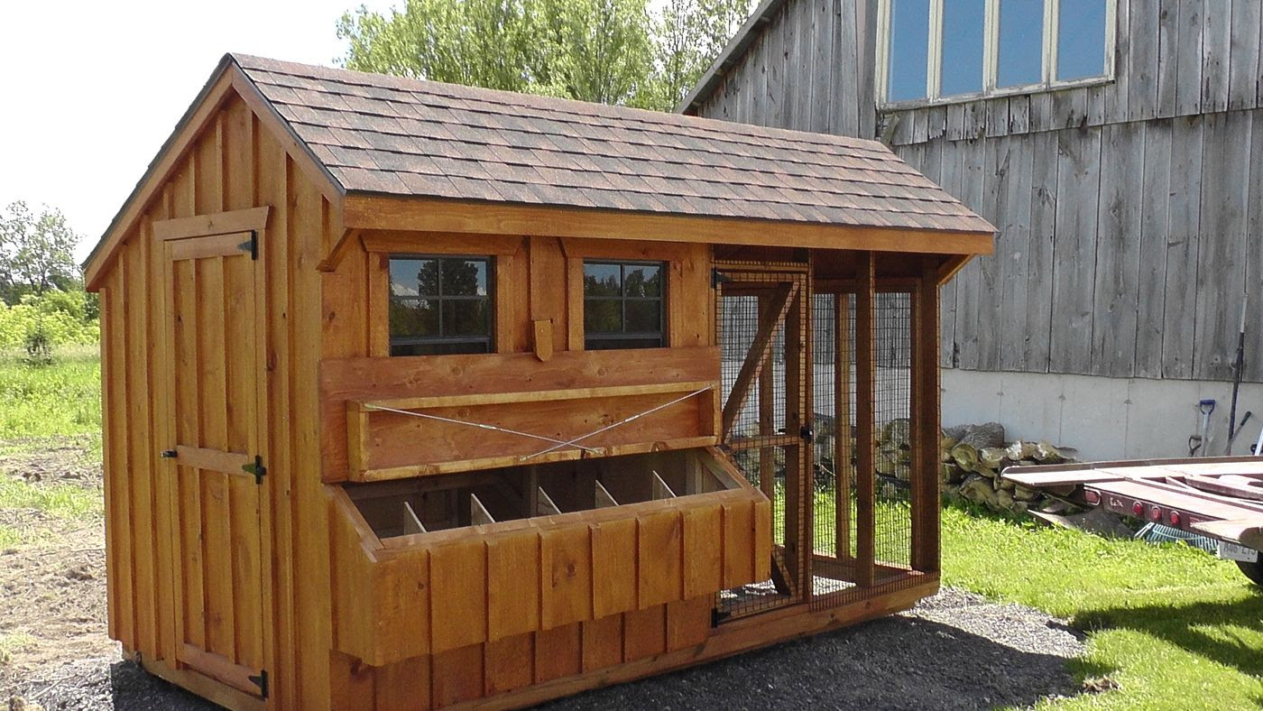 chicken coops - north country sheds