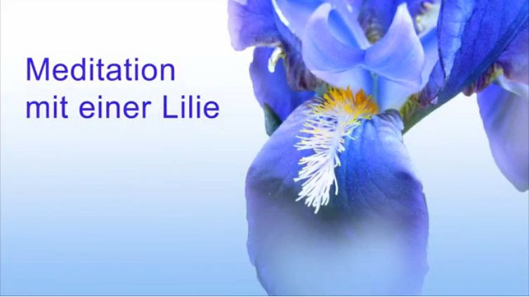 lustige sprüche zum 70. Geburtstag des vaters