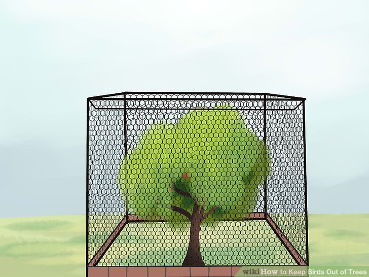 Keep Birds Out of Trees Step 9.jpg