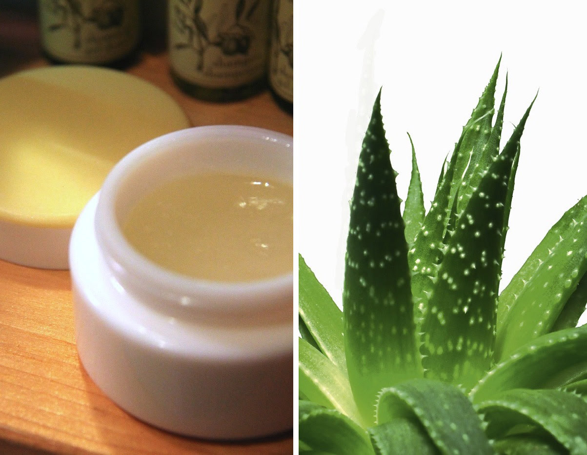 aloe pelle