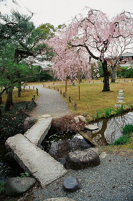 涉成園
