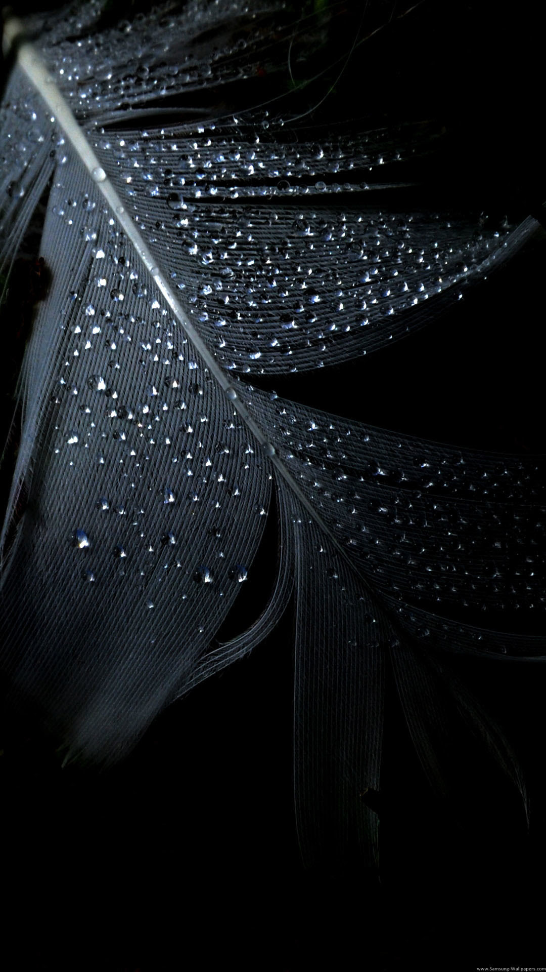 Pure Black Wallpaper 66 Images