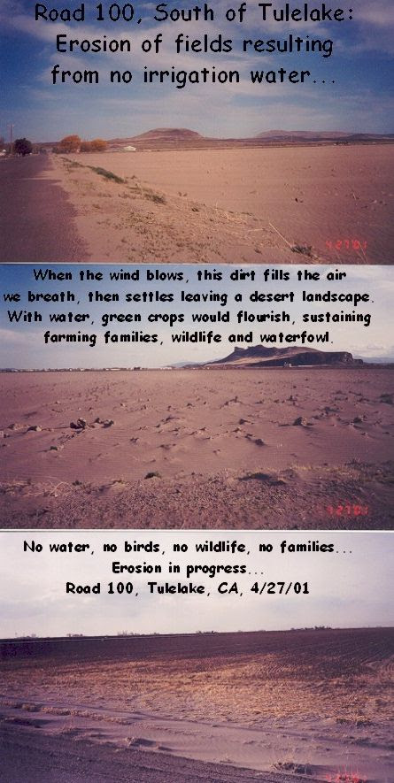 erosion by wind. Wind Erosion