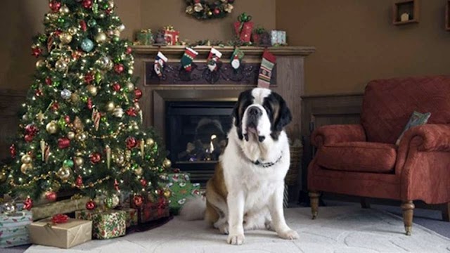 Regarder Film Beethoven's Christmas Adventure en Streaming en Français
FULL HD