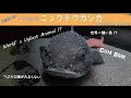 25 ++ ニュウ ドウ カジカ ワンピース 186862