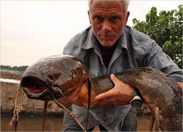 Tiger Fish River Monsters. Not a pretty fish, the African