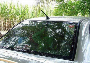 mesum di mobil 01