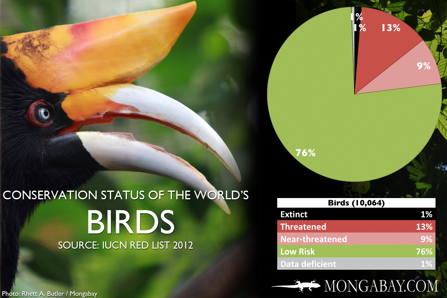 CHART The world's most endangered birds