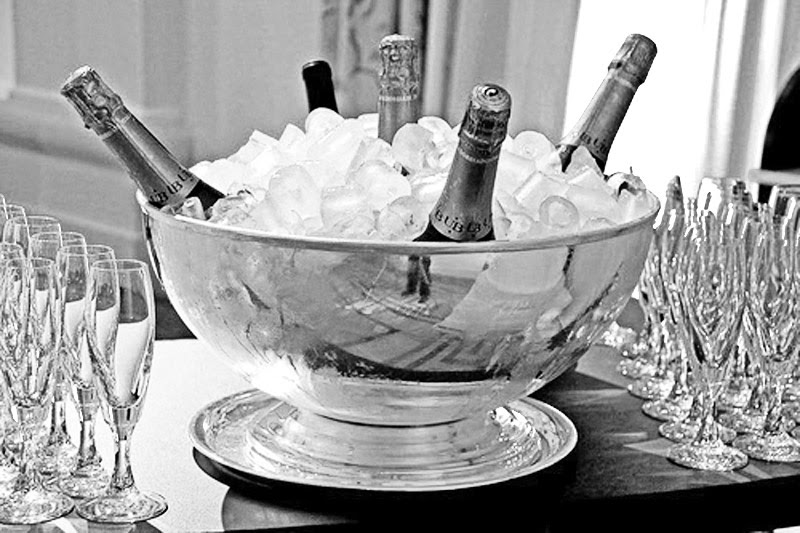 Fashion Model, Champagne, Style inspiration, Fashion photography, Long hair