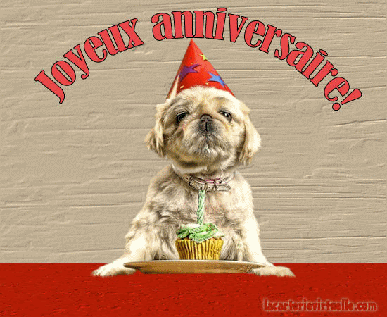 Chiens Gifs Animes Page 8