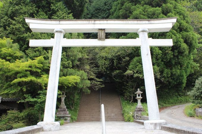 日本最古の神社で底知れぬパワーを 最強のパワースポット 熊本県山都町 幣立神宮 Navitime Travel