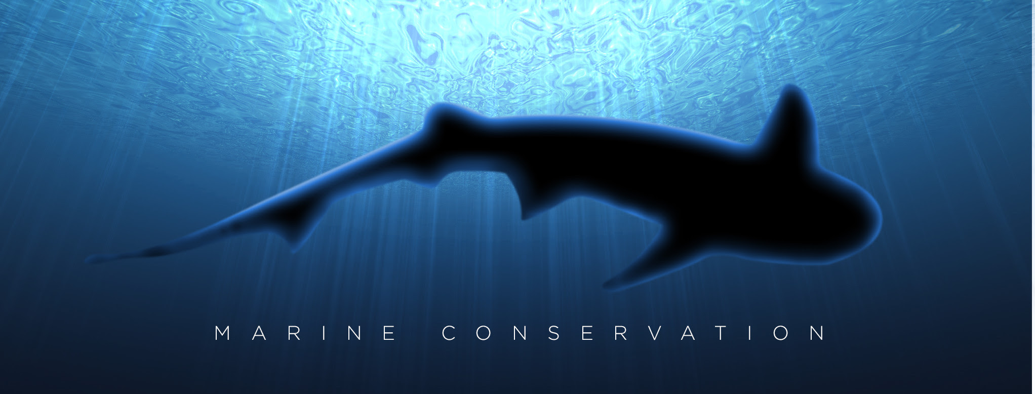 Marine Conservation