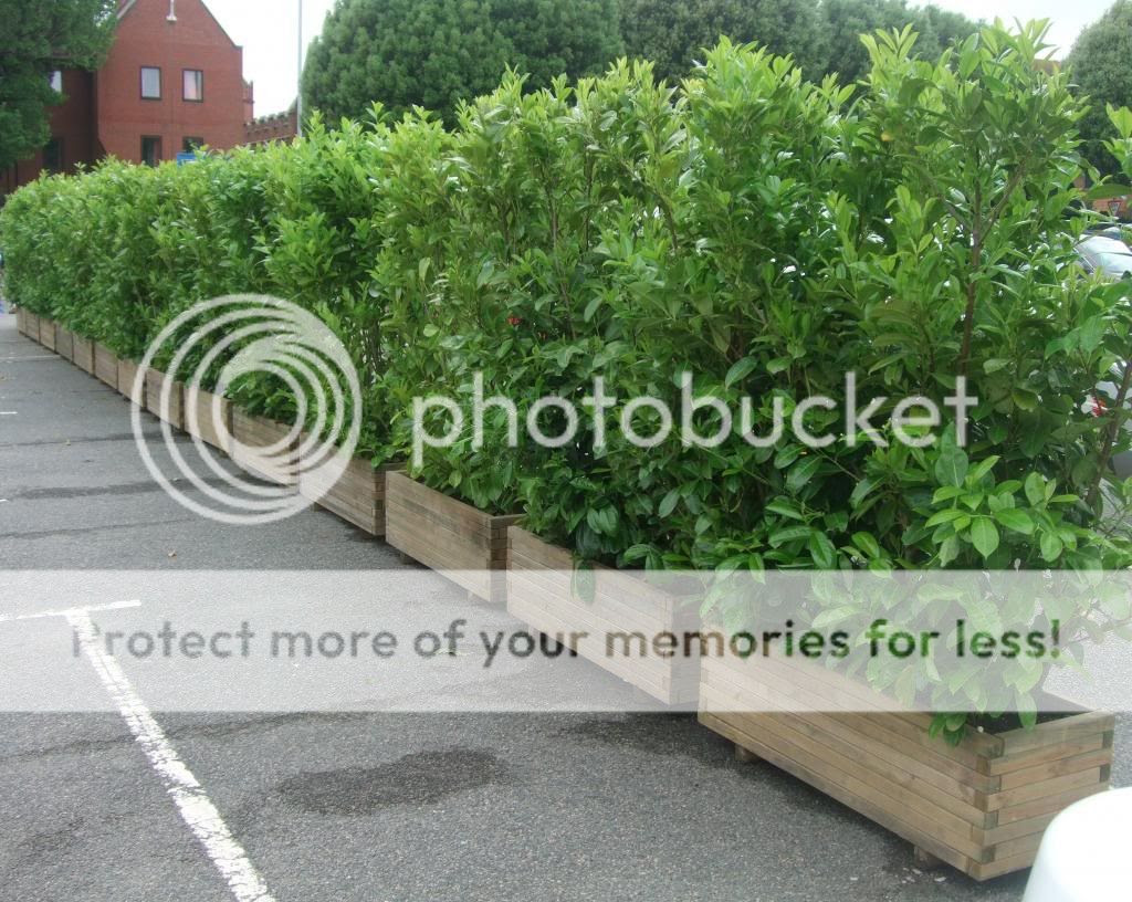 Garden Centres, Nurseries and Farm Shops in East Sussex, Stone Cross 