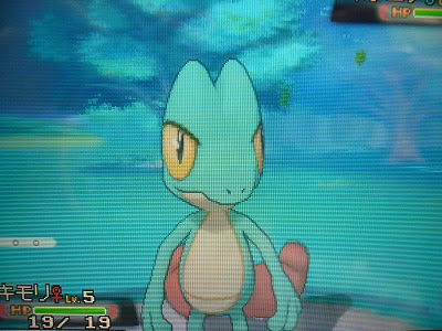 キモリ よもぎの色ポケコレクションブログ