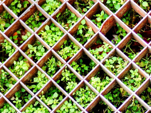 2007-07-01 Square rooms by [ henning ]