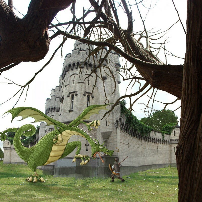 Dragon
