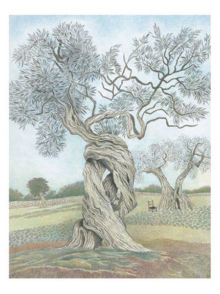 Raccontare gli alberi, P. Valentinis, M. Evangelista, Rizzoli