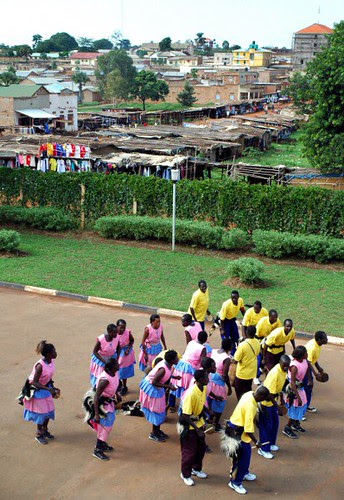 taso gulu - office aDSC_2792_413x600