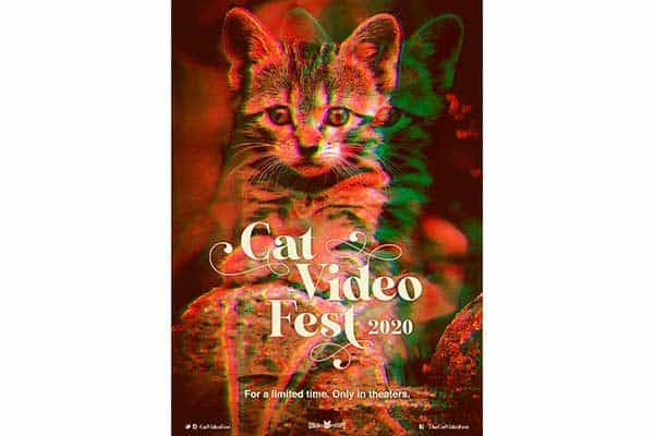 45 HQ Pictures Cat Video Fest 2020 Denver - Festgefahren 2020 Cat MT765d hilft Fendt 720 v mit Briri ...