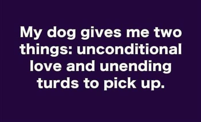 dailyhaha funny pictures